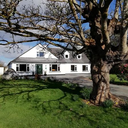 Mountain View Guesthouse Oughterard Esterno foto