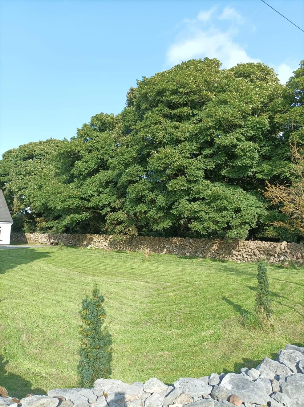 Mountain View Guesthouse Oughterard Esterno foto