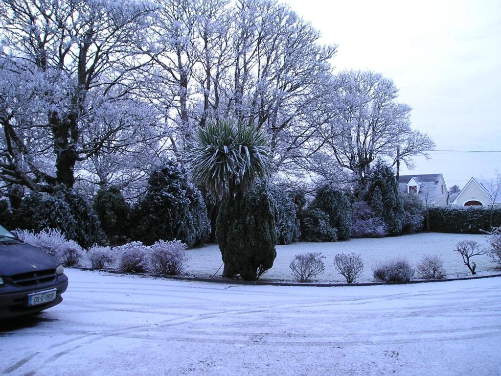 Mountain View Guesthouse Oughterard Esterno foto